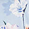 HELLBLAU/ WEISS
