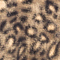 BEIGE/ SCHWARZ