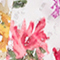 IVORY/ LILA/ ROSA