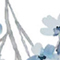 WEISS/ BLAU