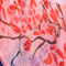 ROSA/ ROT/ BLAU