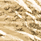 GOLD METALLIC