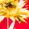 ROT/ GELB/ BLAU