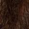 BRAUN