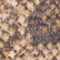 BRAUN/ SCHWARZ/ CREME