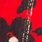 ROT/ SCHWARZ