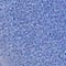 HELLBLAU/ ROT/ ORANGE
