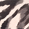 NUDE/ SCHWARZ