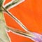 ORANGE/ GRÜN/ LILA