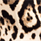 BRAUN/ CREME/