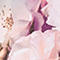 GRÜN/ ROSA/ LILA