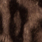 BRAUN