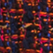 FUCHSIA/ DUNKELBLAU/ ORANGE