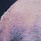 DUNKELBLAU/ LILA/ GRÜN