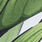 TRANSPARENT/ GRÜN