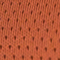 BRAUN
