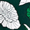 GRÜN/ WEISS