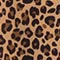 632 CARAMEL LEO