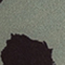 OLIV/ SCHWARZ