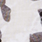 OLIV/ GRAU/ SCHWARZ