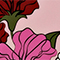 ROSA/ PINK/ WEISS