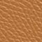 ACORN