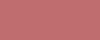 N°04 STREET ROSE