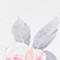 WEISS