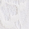 WEISS