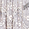 TAUPE/ CREME/ ROSE