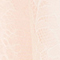 ROSÉ