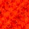 ROT