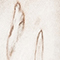 CREME/ SILBER