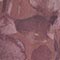 ALTROSA/ FUCHSIA