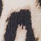 BEIGE/ SCHWARZ