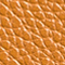 ACORN
