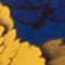BLAU/ WEISS/ GELB