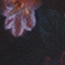 SCHWARZ/ LILA/ ORANGE
