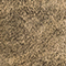 OLIV/ KHAKI