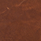 BRAUN