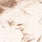 BRAUN/ BEIGE