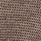 BRAUN