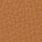 ACORN