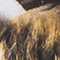 HELLGRAU/ BEIGE/ SCHWARZ