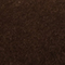 BRAUN