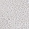 WEISS/ GRAU/ MINT