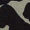 KHAKI/ SCHWARZ