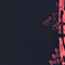 NAVY/ PINK