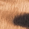 BEIGE/ SCHWARZ/ BRAUN