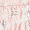 CREME/ ROSE